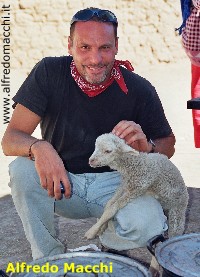 Alfredo Macchi