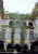 torinopiovano.jpg (65006 byte)